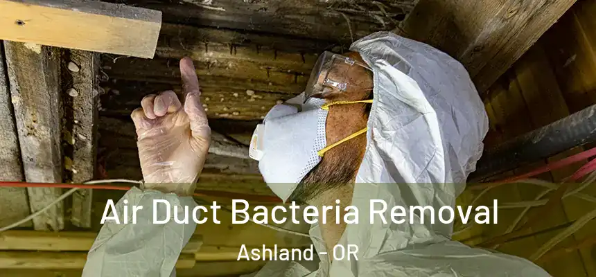  Air Duct Bacteria Removal Ashland - OR