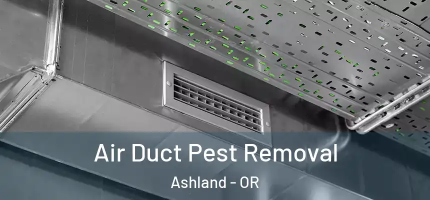  Air Duct Pest Removal Ashland - OR
