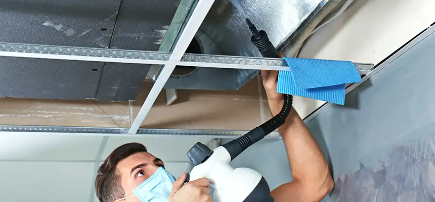 Our Air Duct Rodent Removal Services in Ashland, OR