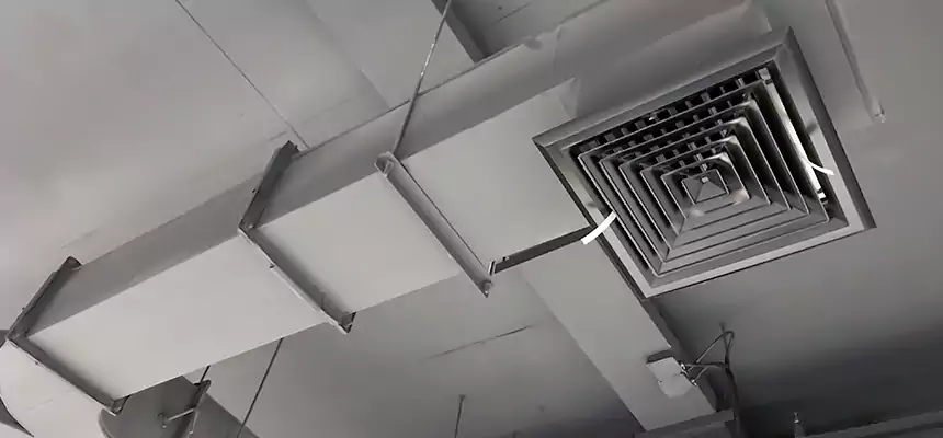 Restorative Allergy Relief Vent Cleaning – Coil, Blower & Housing Detail in Ashland