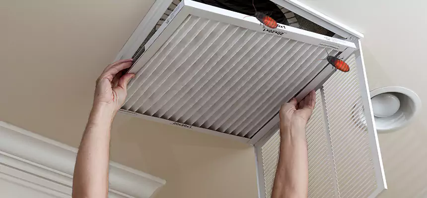 Our Insect Removal from Air Ducts Services in Ashland, OR