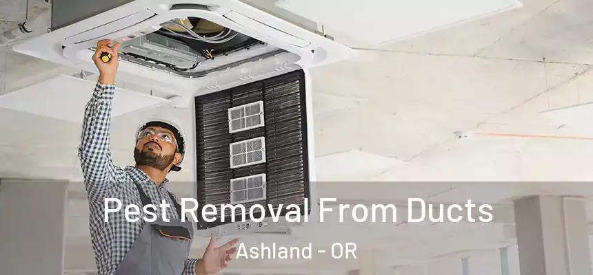  Pest Removal From Ducts Ashland - OR