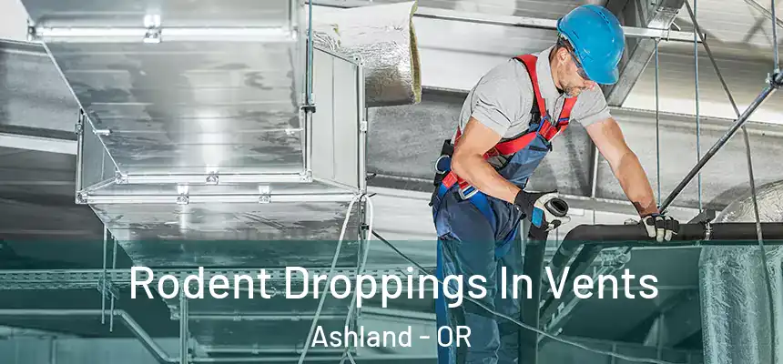  Rodent Droppings In Vents Ashland - OR