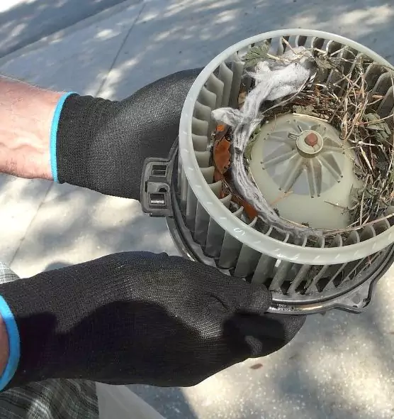 About Air Duct Rat Removal in Ashland, OR