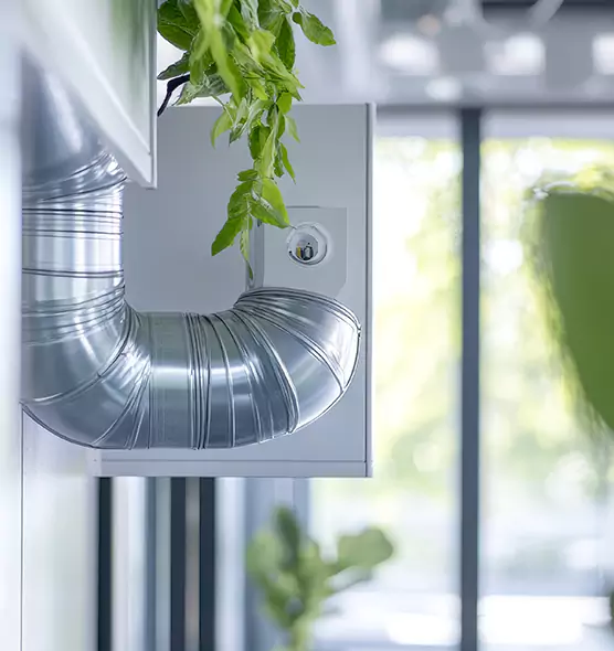 Professional Eco-Safe Dryer Vent Cleaning in Ashland, OR