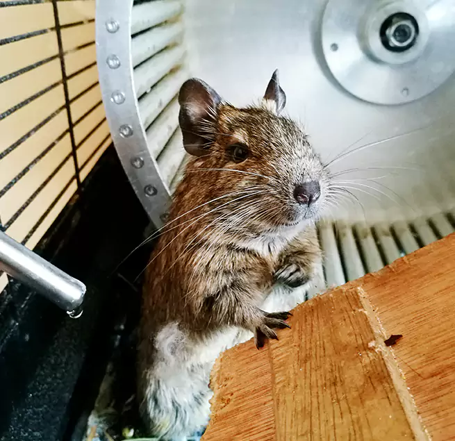 Why Homeowners & Businesses Trust Us Ashland, OR