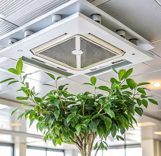 Why Homeowners & Businesses Trust Us in Ashland, OR?