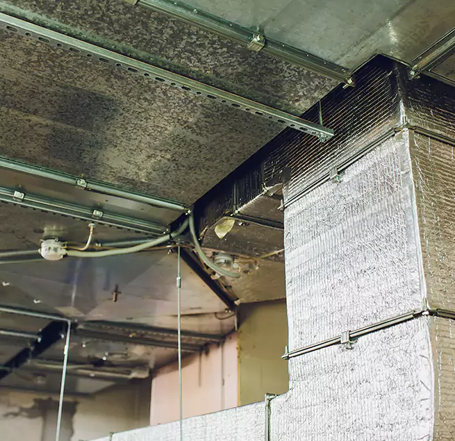 Why Homeowners & Businesses Trust Us in Ashland, OR?